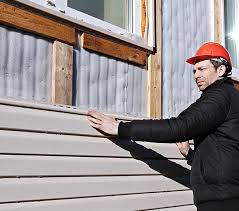 Best Custom Trim and Detailing for Siding  in Lake Jackson, TX